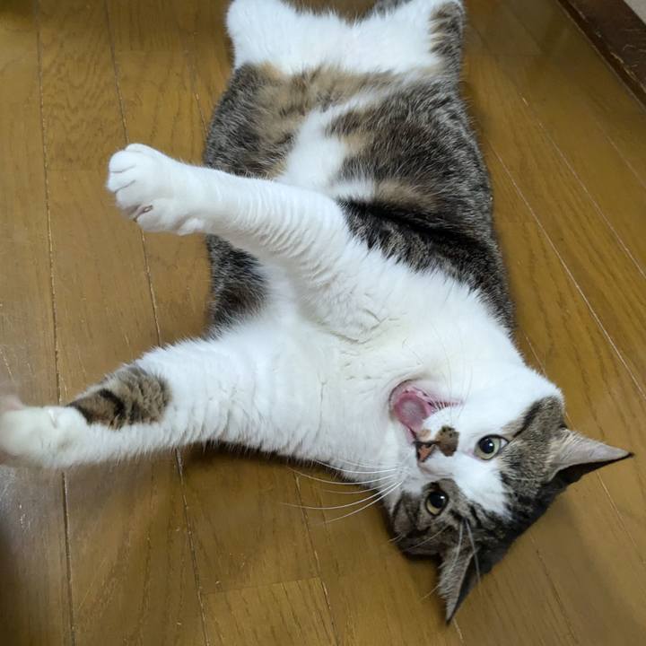 48923d2b 94ec 4d46 809f 07f4ba8cf0d9 1727787093946