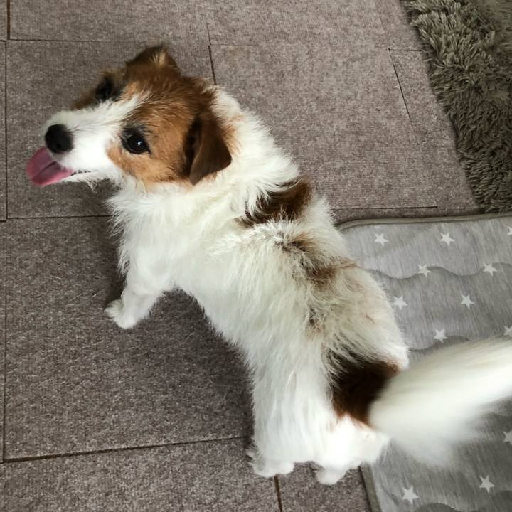 4892520c 5e28 4d87 8d6c 62564ab41d18 1600759010628