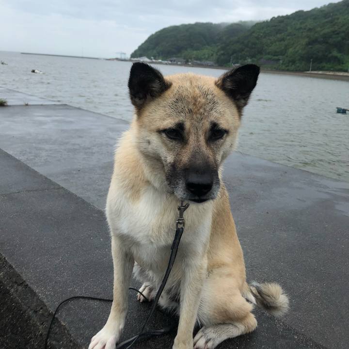 48926689 a0e4 447b b583 2cbe0411f03b 1563696564083