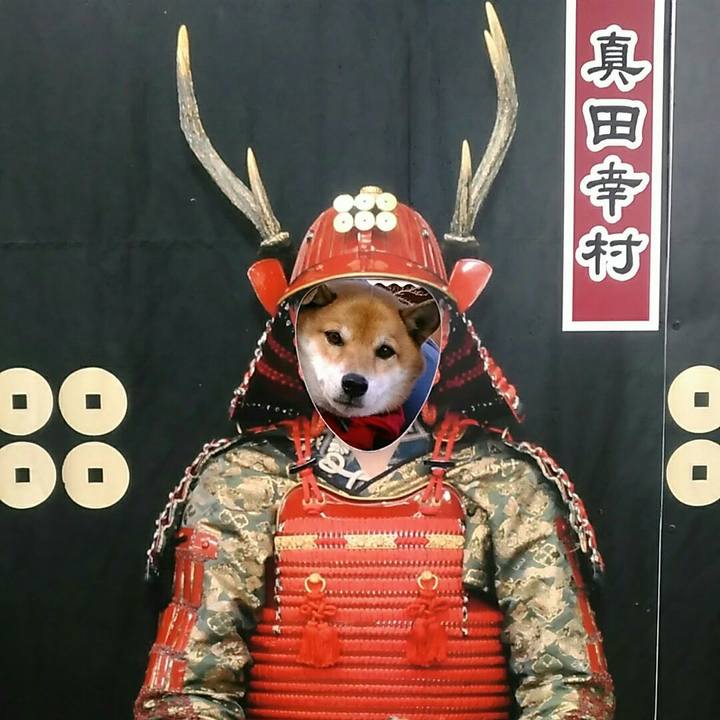 48927454 2352 4b1d 8a30 48c21a0c56c2 1574402773178