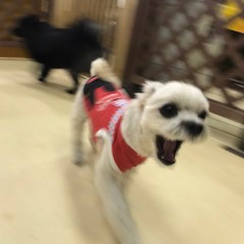 489283c8 0862 45ce b9be f85faabeee99 1513685146154