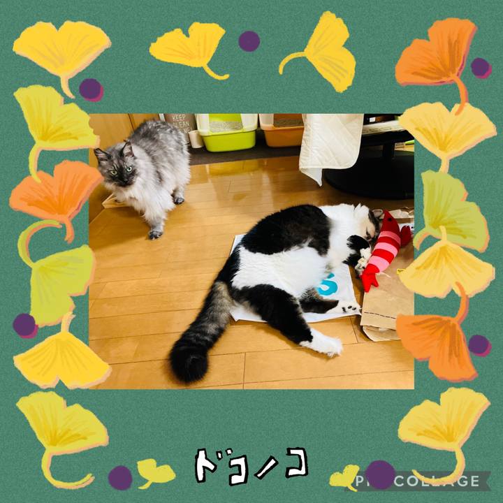 4892986a 7d53 4b46 93de f83a479fc75c 1729414624725