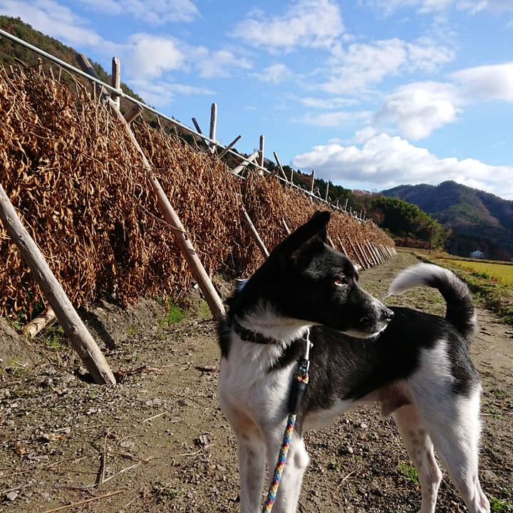 4892abaf 44fc 4cad a8b1 0cd3cae4a2d0 1512185133094