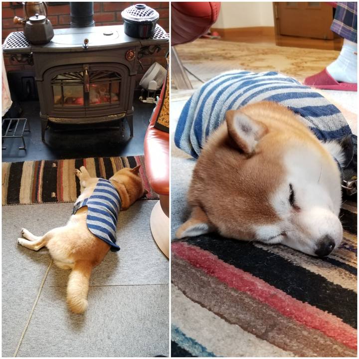 4892ae06 1547 4d30 9b0b fe3513ad3f32 1578268636697