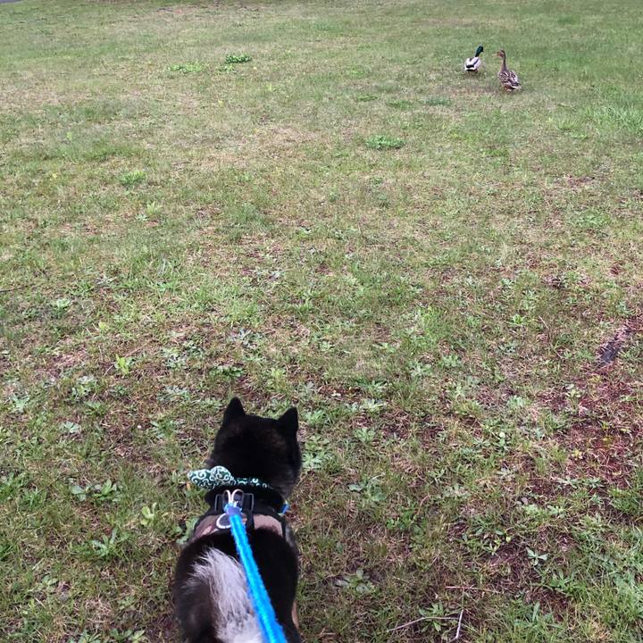 4892bd93 c21a 4b36 9b2a 222ed4584070 1620127536640