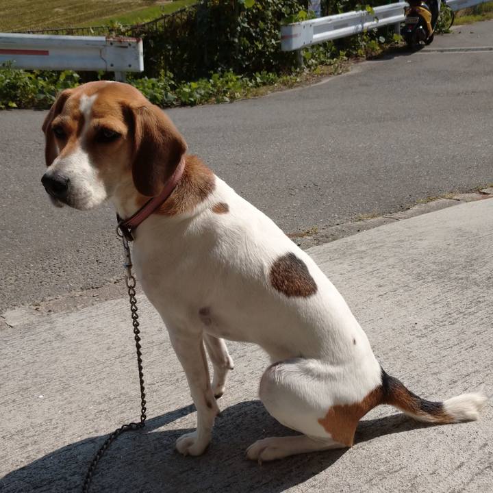 489335b0 ccbc 4daf 819d b78420adf8ef 1602474594444