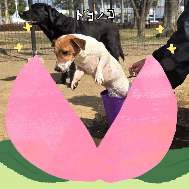 48937e97 57eb 419e b11b 1ff32c2e5294 1771827140980