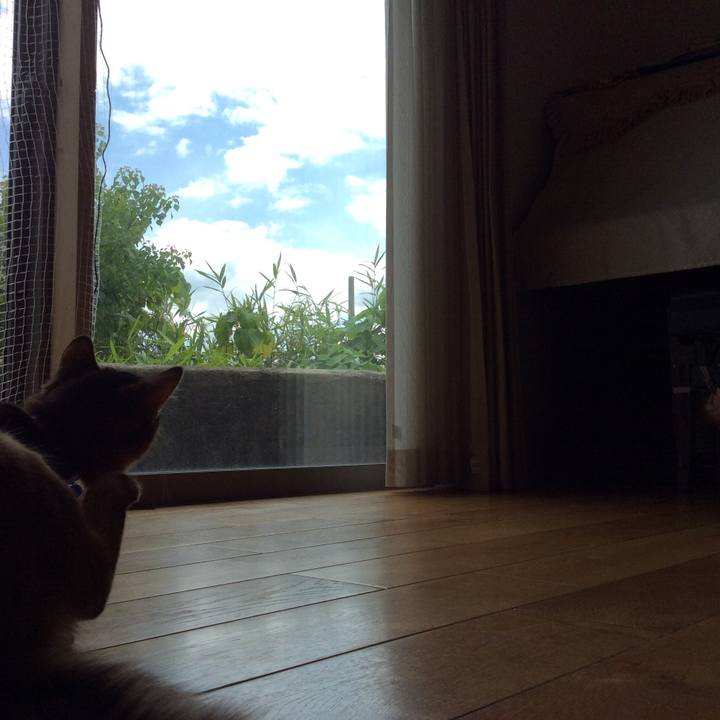 4893ca59 3d23 4a97 9e9e d19218e34b1b 1613959147995