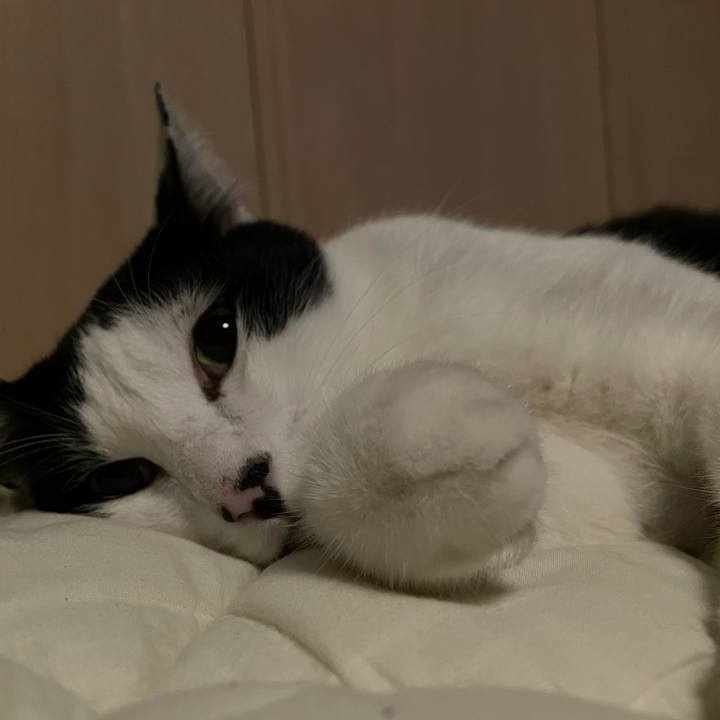 48943039 a331 40c3 9078 8a8bcfefab0f 1625464384428