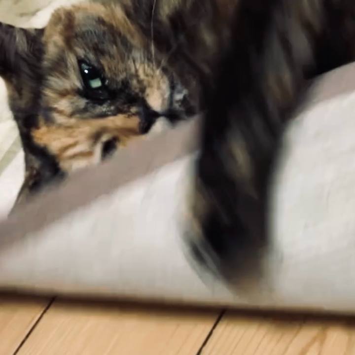 48943815 593e 44d7 b560 c80479acc2f9 1735810594356