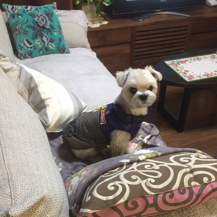 48946f19 693f 40e5 b668 d4d809f35701 1512475689850