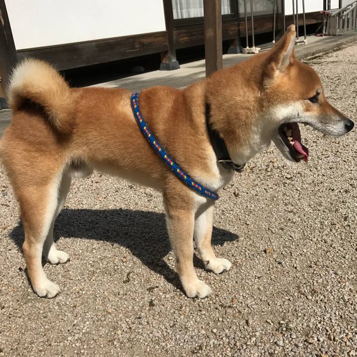 48949b48 32ac 48e5 bbf6 cf3b884e984c 1539077699760