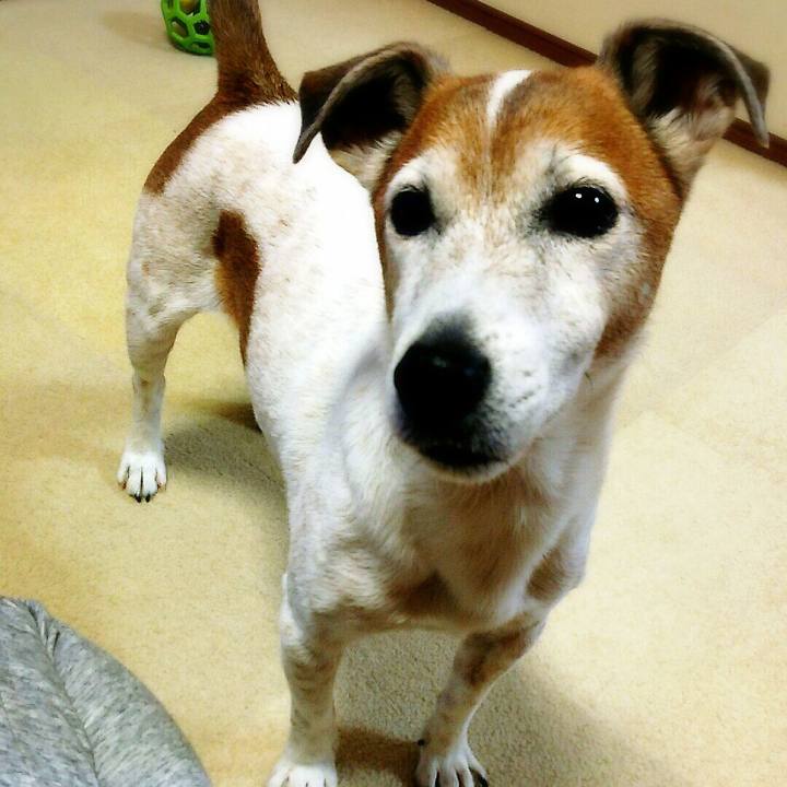 4894a274 9d76 4626 af4c 72b4e3ab4ffe 1517496638517