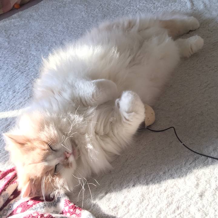 4894a2ce 72a3 4690 9aad 909cc305d621 1510991378959