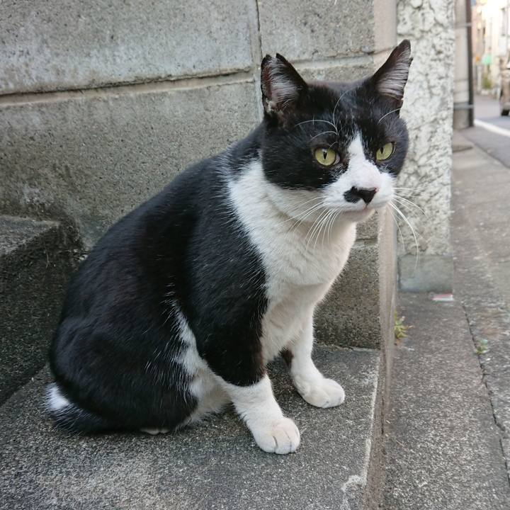 4894c509 2005 47db b862 03e61f229359 1546669090936