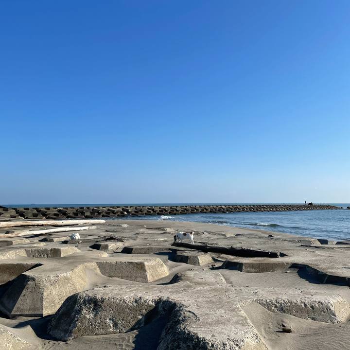 4894ee70 4f2a 4d99 b1d3 5f031f9251d9 1618958671436