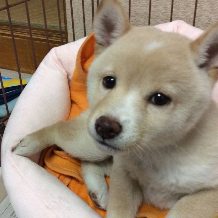 4894f4b7 a3e4 4710 9bcf fdda14027fa7 1550546045561