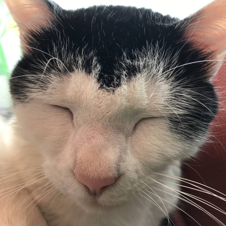 4895088d 9cb8 43e2 8818 60c1d4454d7a 1526606111115