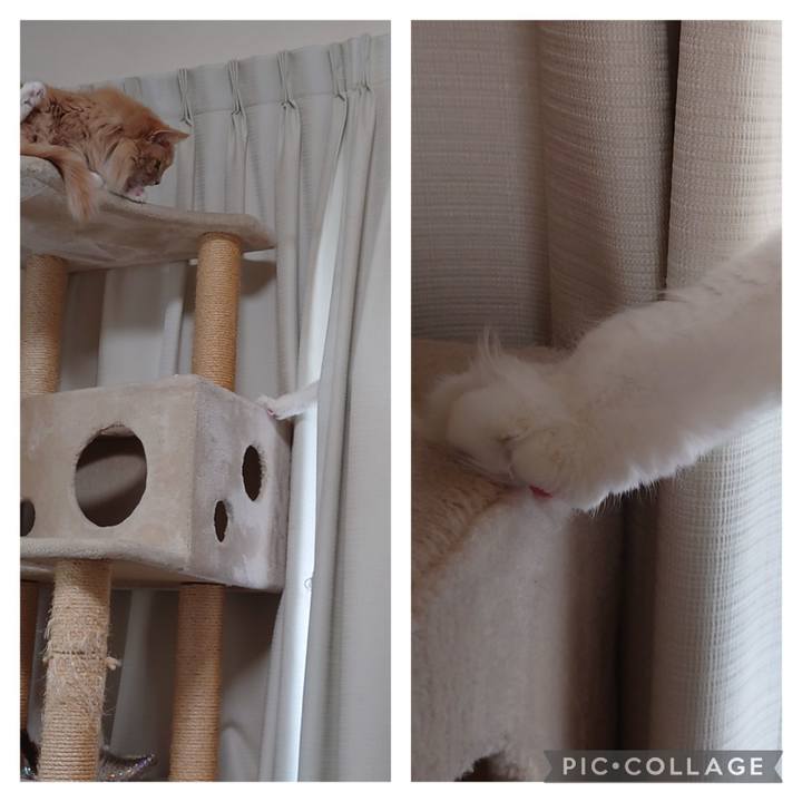 489510cc 85dc 4427 849c 63695130f9ca 1644721492062