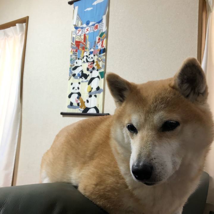 4895272e 6452 4012 a137 9e4d47b76401 1581599256347