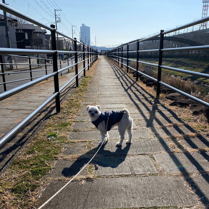 489551bd eb6d 4da9 8f8e 3008bdf0392c 1578900188692