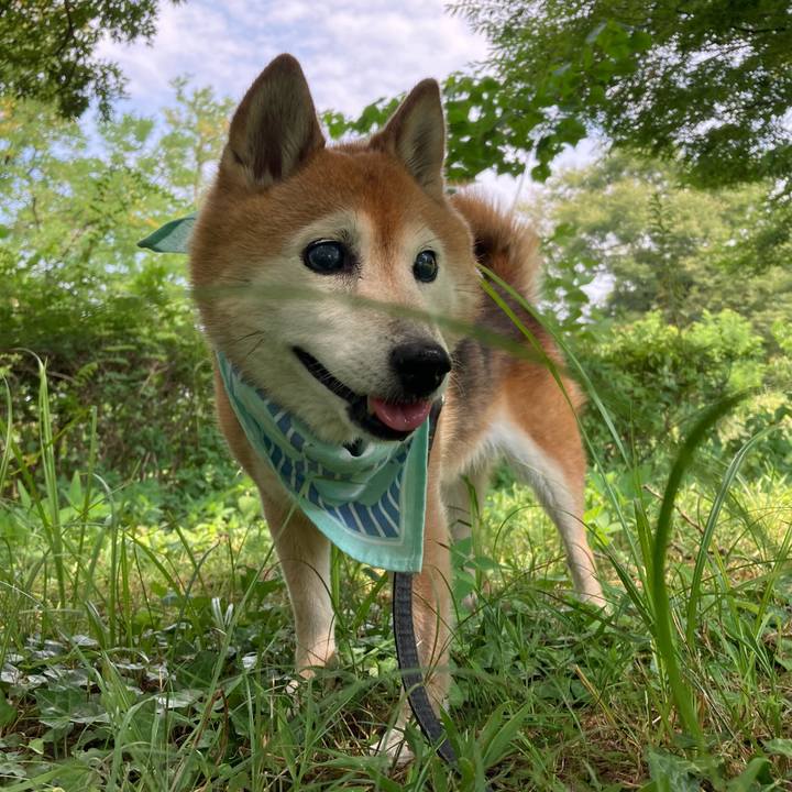 48956682 1336 427f ada8 2270fca4410d 1754356387425