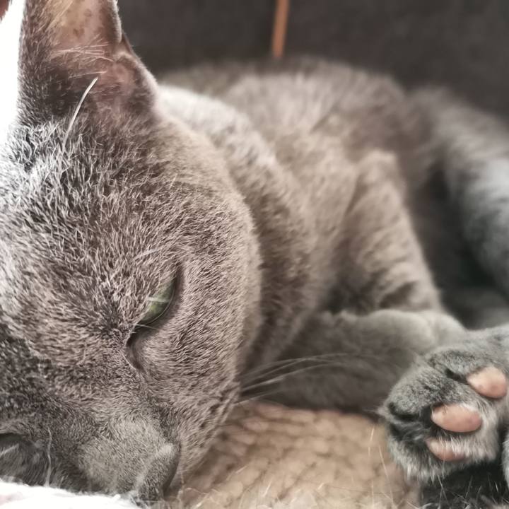 489591d1 bde0 4fee 82f7 ded09419c23f 1599979993296