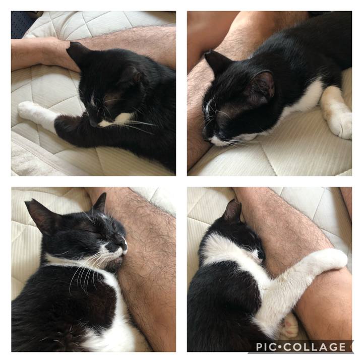 48959c32 049a 42dc 8812 f8817ceb596c 1597503442201