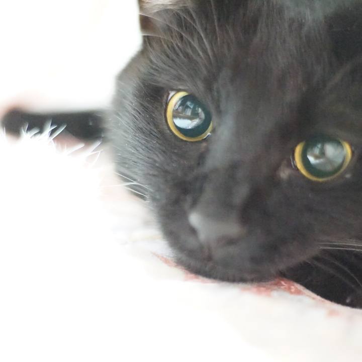 4896023e 969c 4cbc bc51 069f7d87cc68 1530630286501