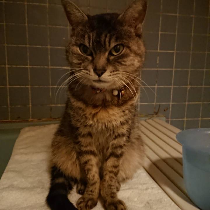 48961085 0091 4be9 ab1d 0e71ba5609d8 1584438057055