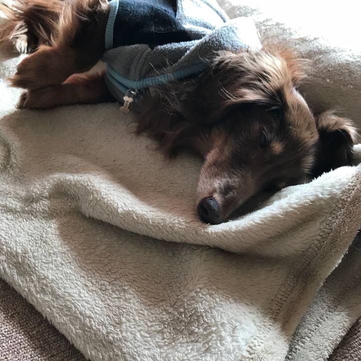 48963677 8b82 4622 aa22 529e6e06bd32 1516412506317