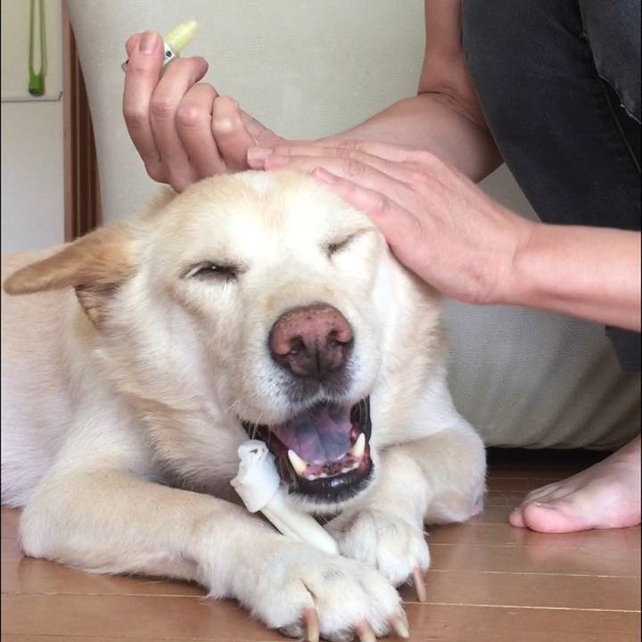 48965a14 e420 44c0 b0b6 27e16ddd68df 1532608409165