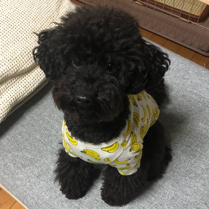 4896794e 82f5 4ba3 97be bc8b64cbcd54 1572861132986