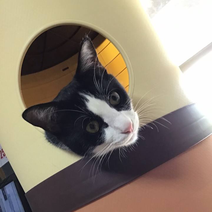 48968742 2afe 4a33 a516 9a846280fca5 1662806248998