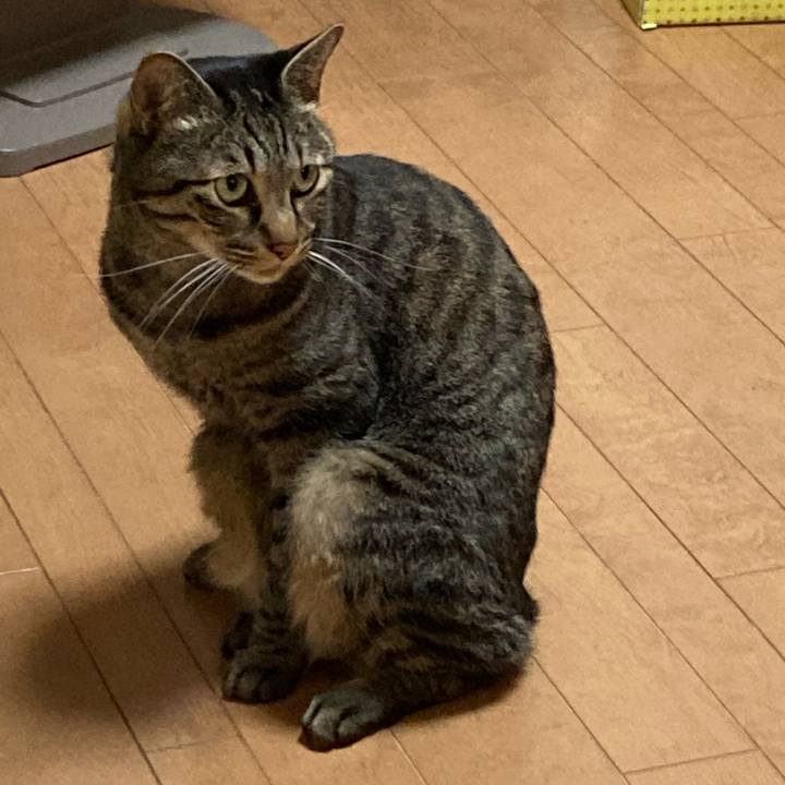 4896a2f8 e2fc 4ca9 8396 797400300ab7 1642851223304