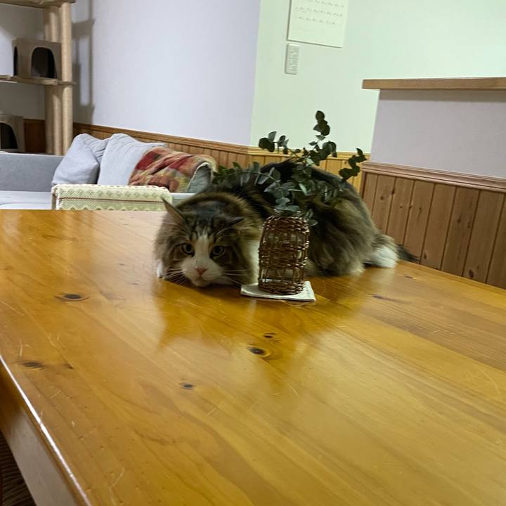 4896cbca 86cb 47fe b045 c26439a0cfbf 1739738326417