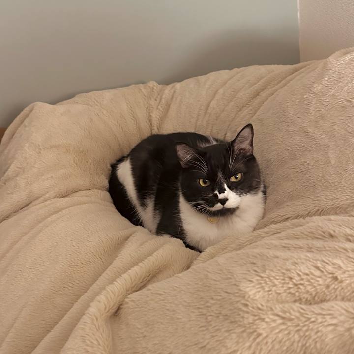 4896d000 58c1 4a6b b916 54b2d8f8a9d6 1768751310124