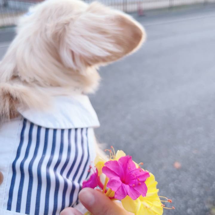 4896dce4 e949 47d9 b99c 1c9b080dc75a 1697203928098