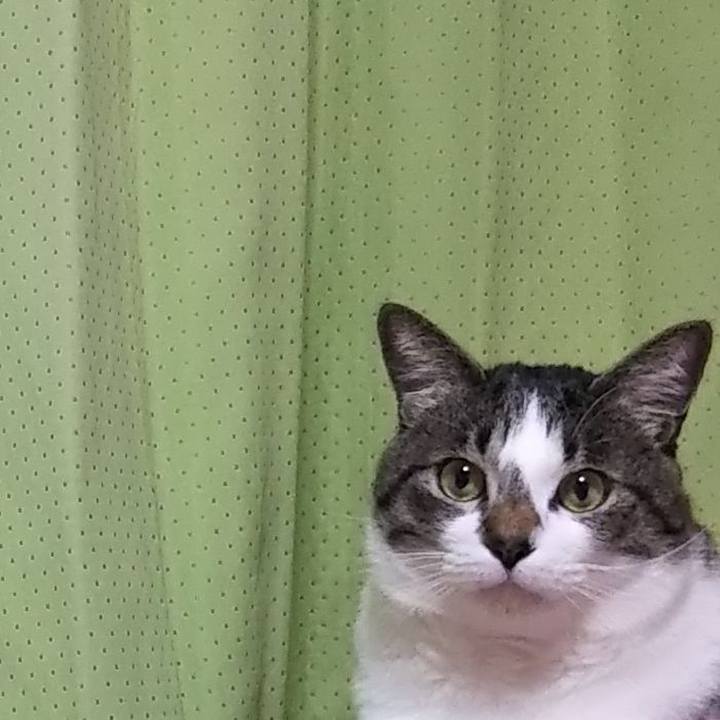 4896e3a2 0433 4023 8d9e c5bac91ddf69 1615018050107