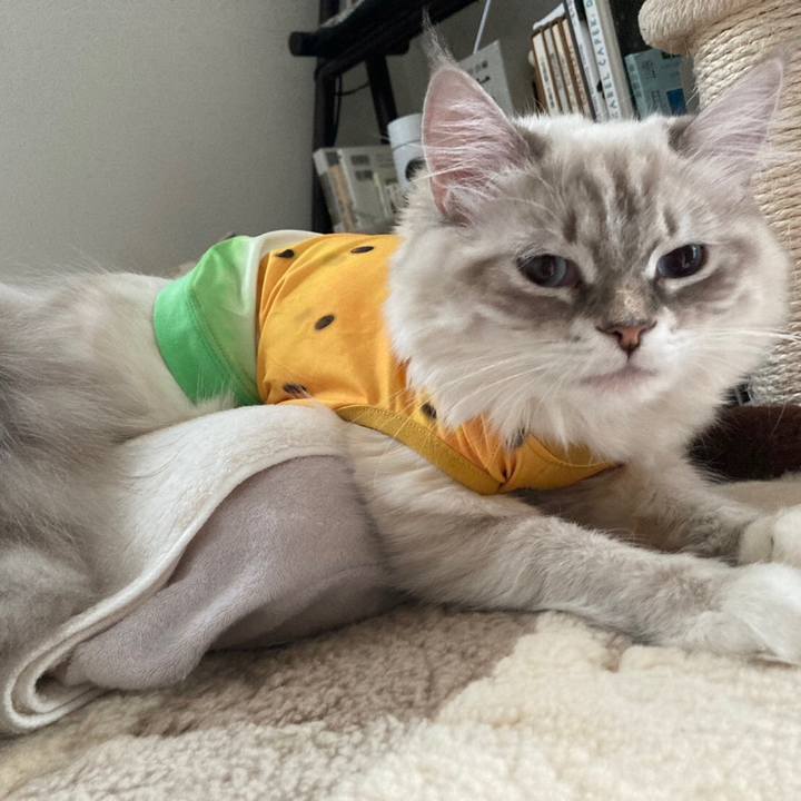 489703a5 edce 4807 b555 ed92036a5649 1682917666522