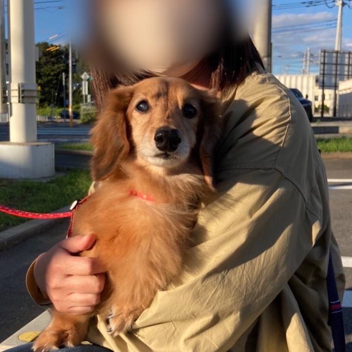 489716de d26f 426e b1bf 66f82b5f1b8c 1634996262132