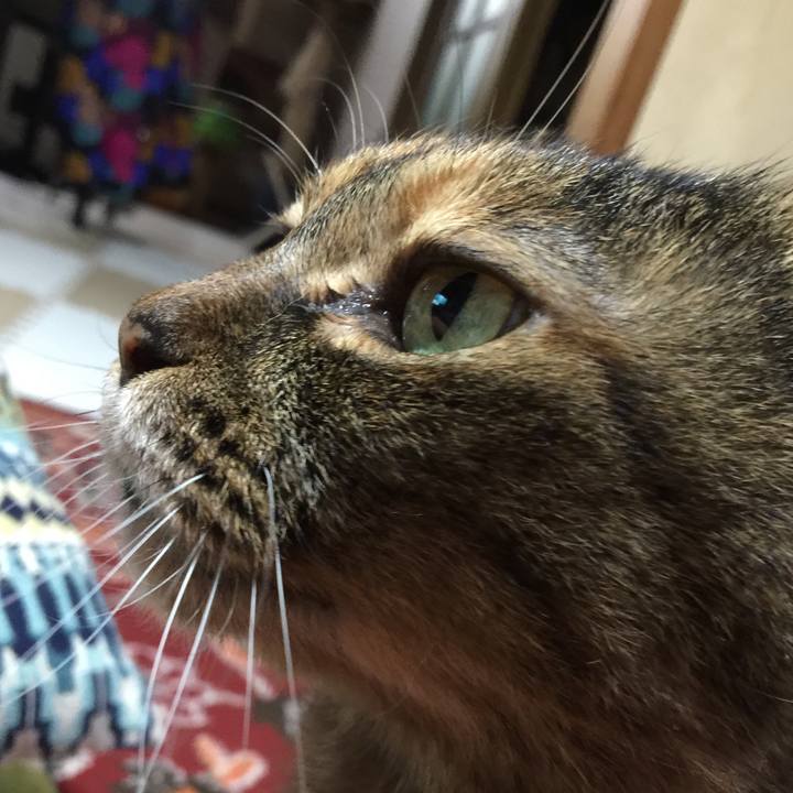 48971711 9c6d 4b81 afc5 7782ad5235b5 1610274294924