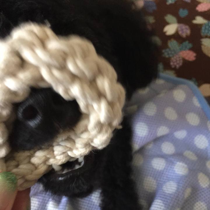 48976f34 f69b 497c a005 a05074e8740f 1532425069376