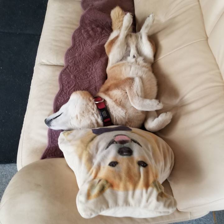 4897fc1a 5192 47b6 bab0 eec69b722fa5 1742971077231