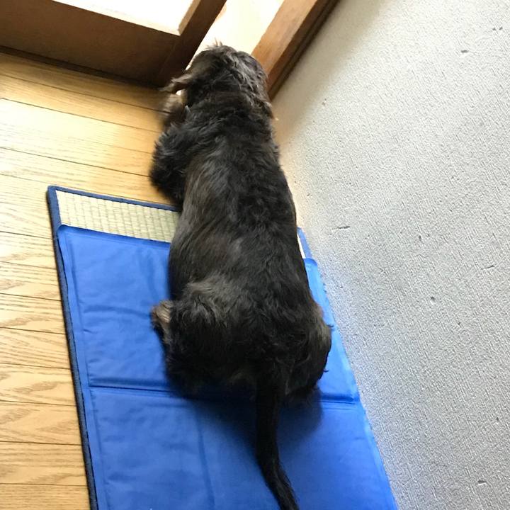 489824f0 dc62 48dc b9f0 6c6e8ddc5e80 1564937657155