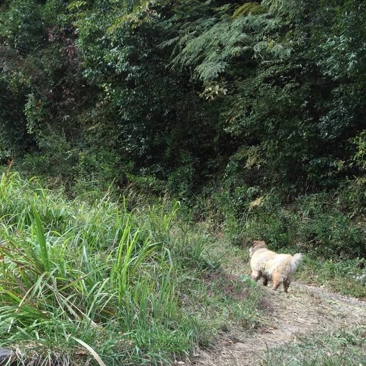 48986557 9015 475d 98c0 e88d60001d9f 1599299147417