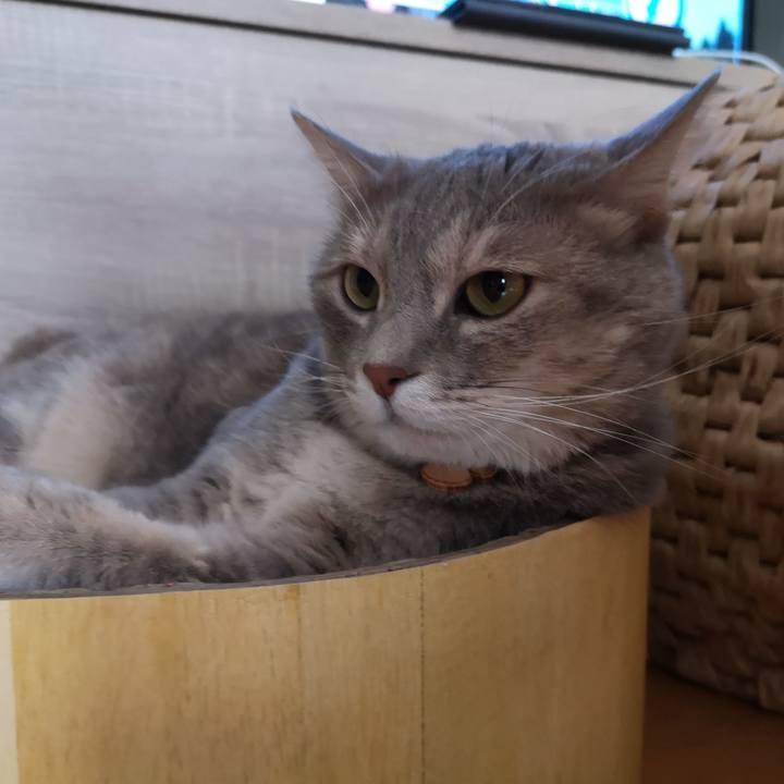 489871ab 02a4 4bb1 843a bf26349d91ec 1568295193673