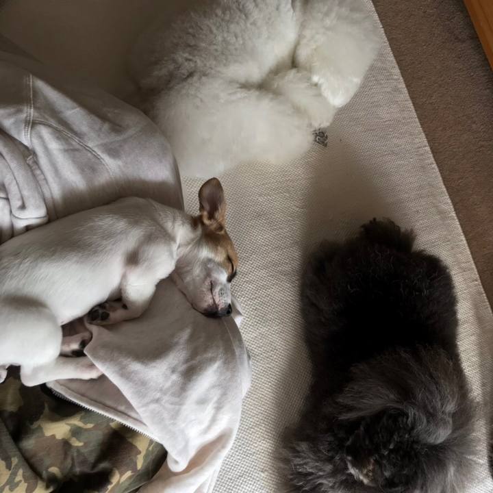 48989674 64d7 4dc6 ae83 e344ddd3c014 1546760428764