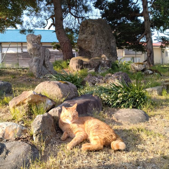 48989957 7d62 4d82 9527 474dd1ae0281 1715381660942