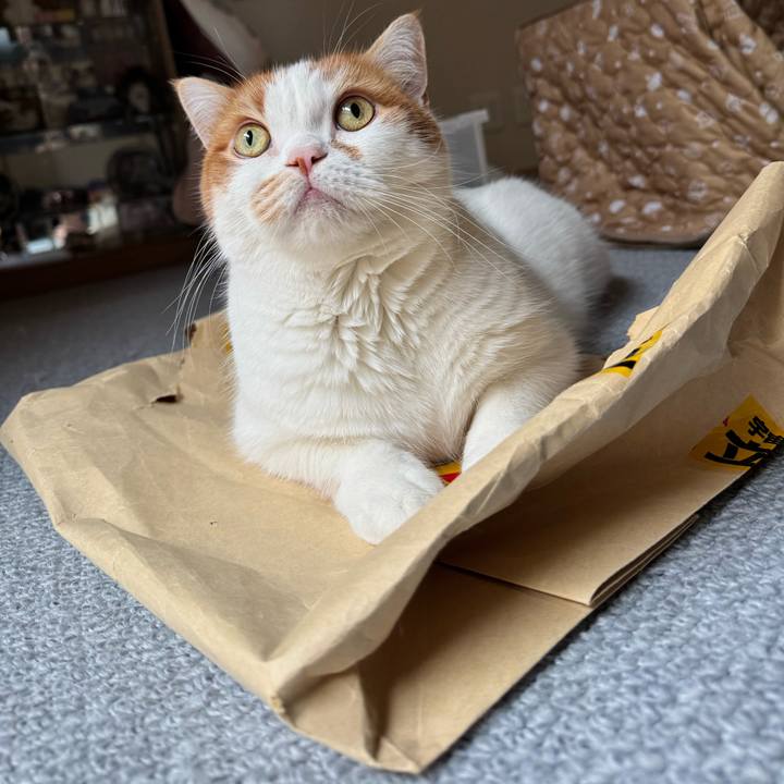 48989afd 1fb5 4673 8e9a 8035cea5fedb 1775097300832